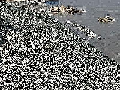 如何選購格賓網箱更實惠