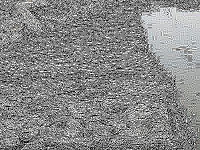 福建如何維護保養綠濱墊效果好?