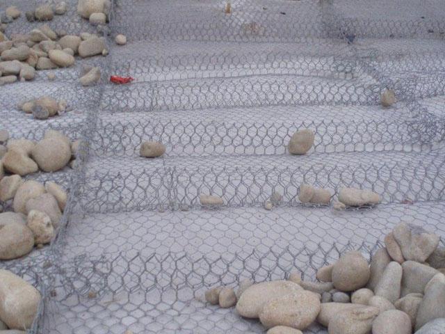 內蒙古雷諾護墊