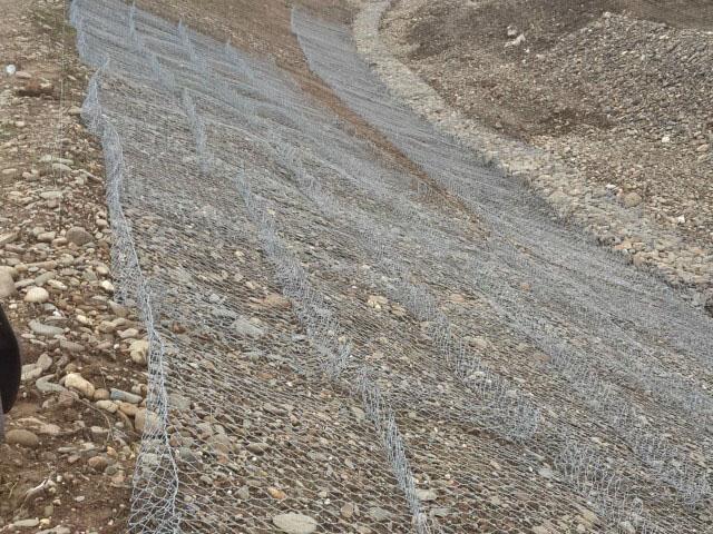 內蒙古雷諾護墊