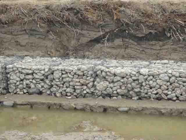 內蒙古雷諾護墊