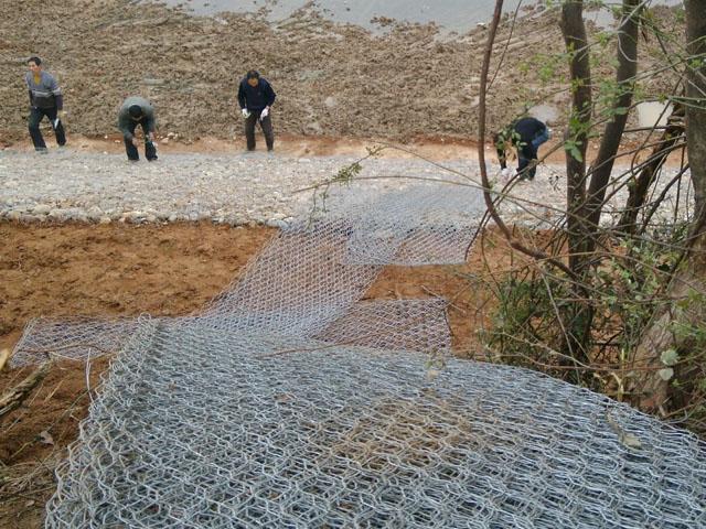 內蒙古雷諾護墊