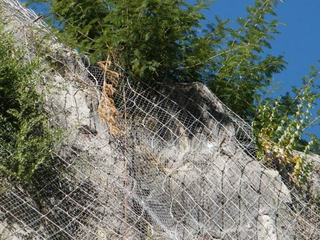 主動邊坡防護網