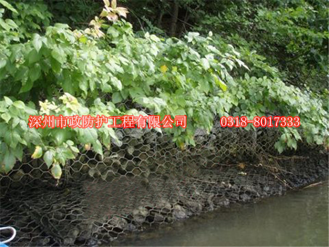 西寧防汛鉛絲籠