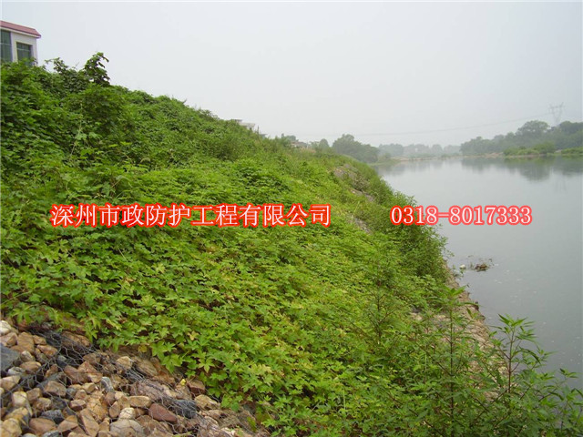 南陽河堤雷諾護墊