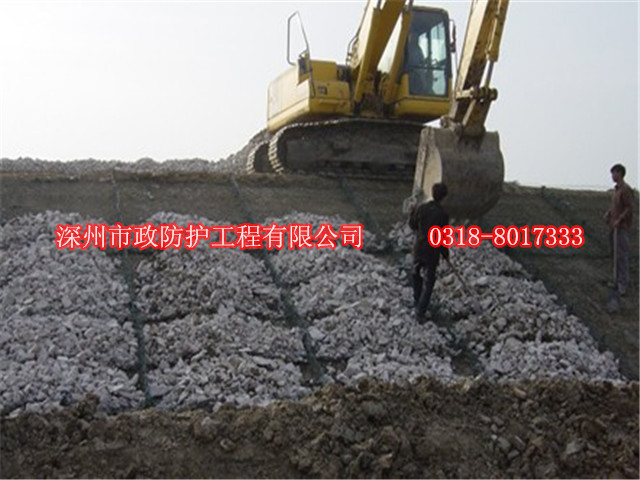 南陽河堤雷諾護墊