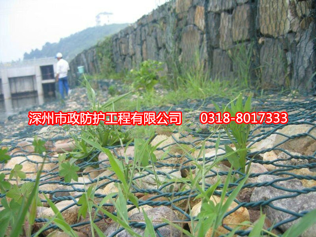 蜂巢格賓網(wǎng)